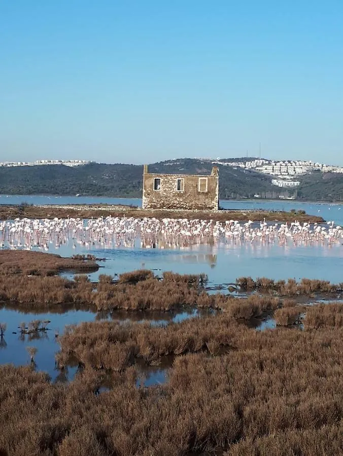 Green House Bogazici-Dodo House Hotel