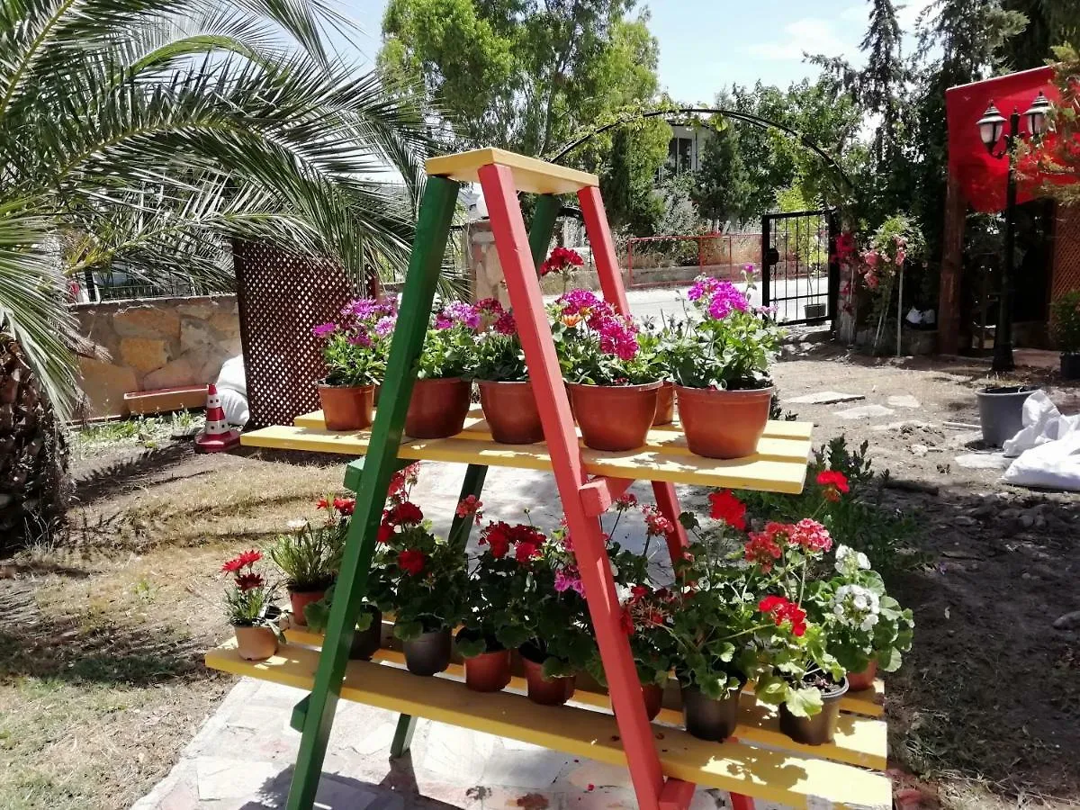 Green House Bogazici-Dodo House Hotel Turkey